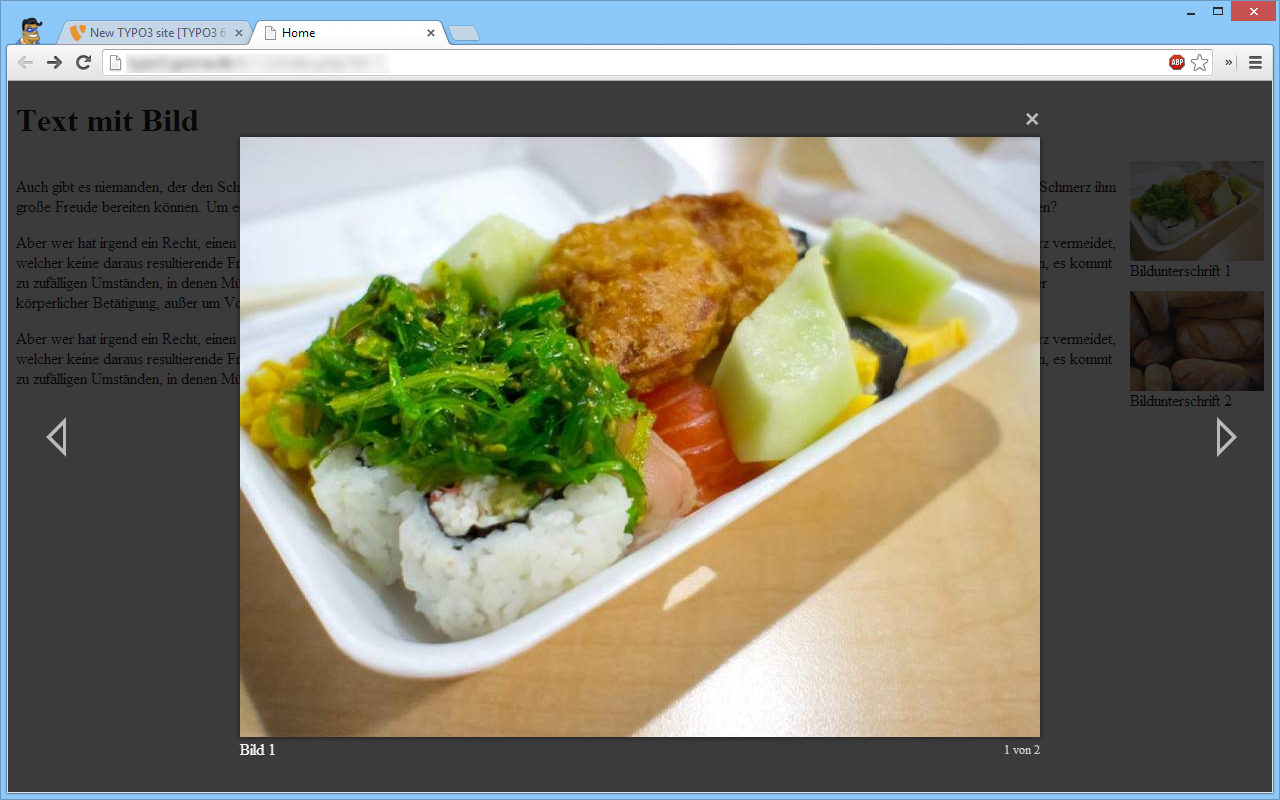 You are currently viewing Gastartikel: Lightbox mit TYPO3 ohne Extensions